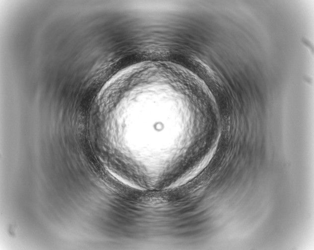 X0000093160553200710241022