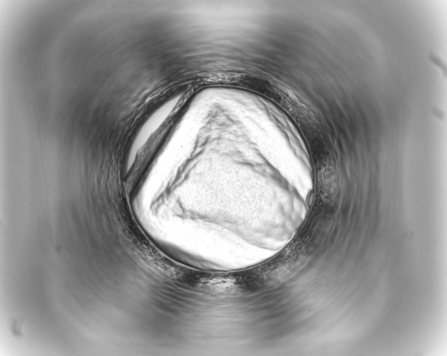X0000093160554200710241022