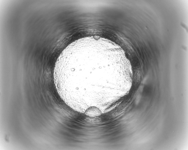 X0000093160557200710241022