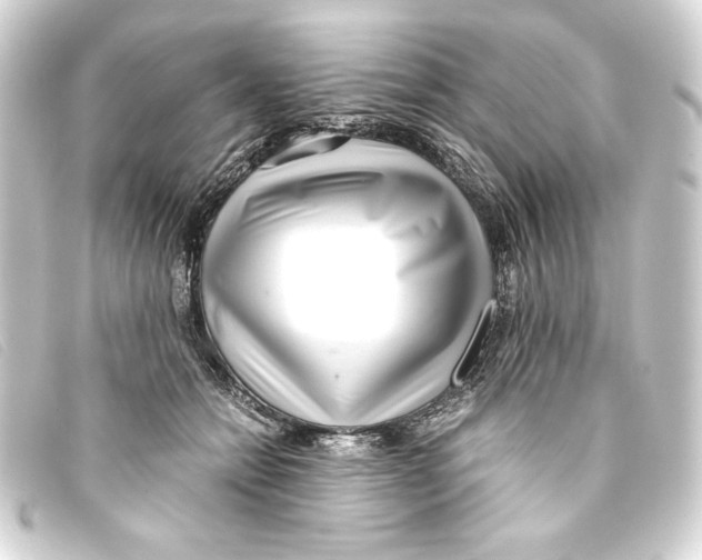 X0000093160558200710241022