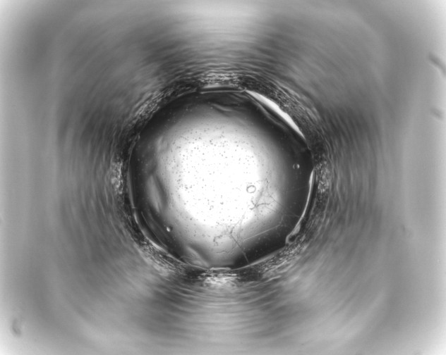 X0000093160560200710241022
