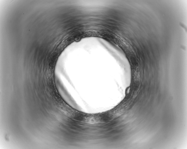 X0000093160561200710241022