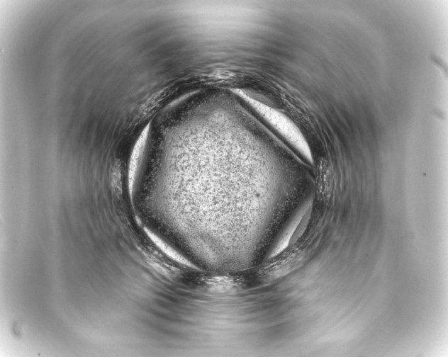 X0000093160562200710241022