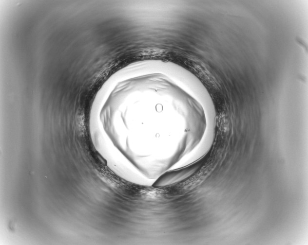 X0000093160564200710241022