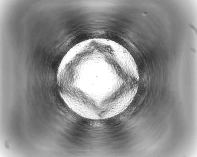 X0000093160565200710241022