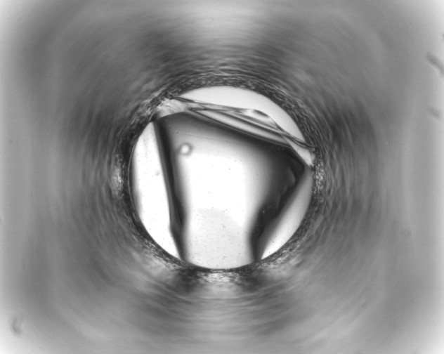 X0000093160566200710241022