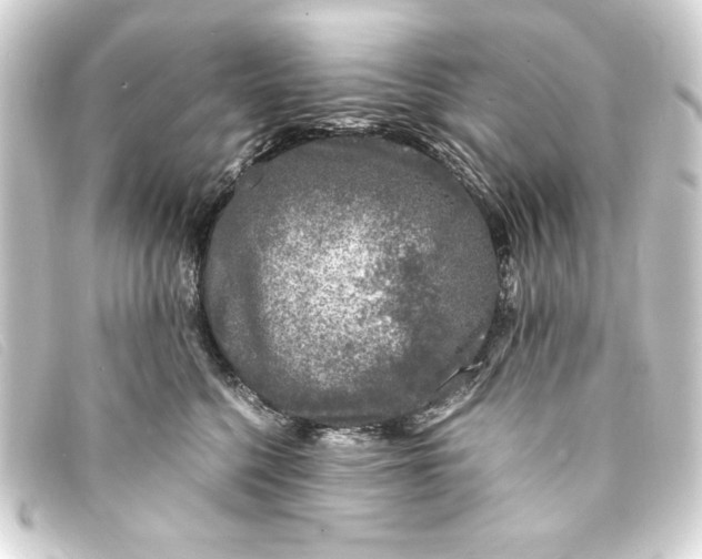 X0000093160568200710241022