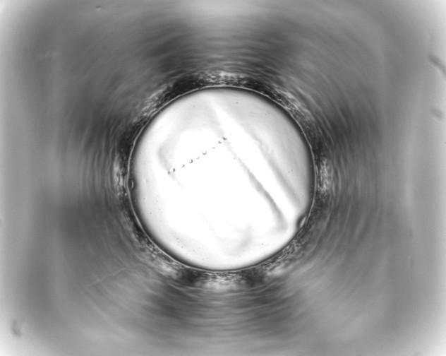 X0000093160569200710241022