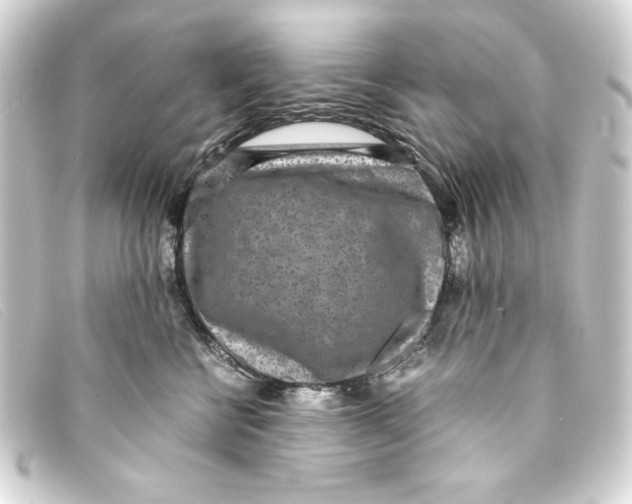 X0000093160570200710241022