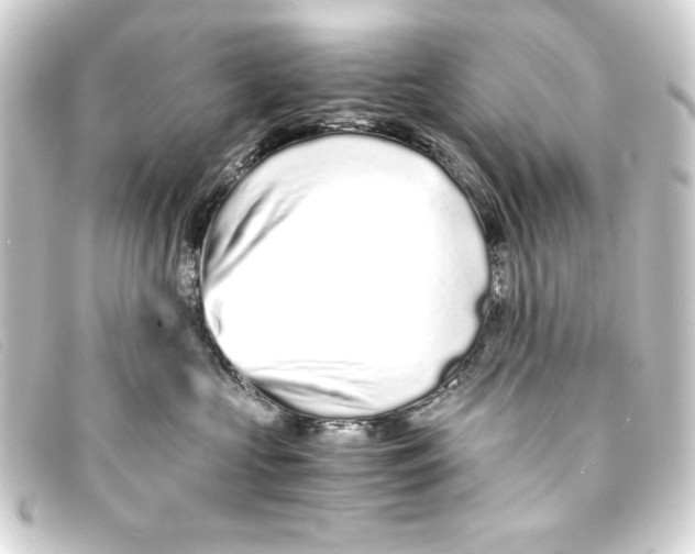 X0000093160573200710241022