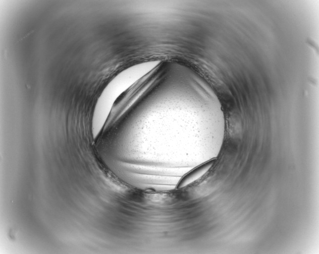 X0000093160575200710241022