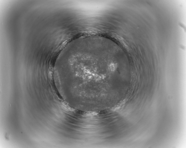 X0000093160576200710241022