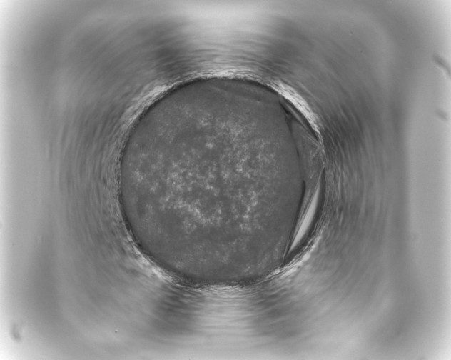 X0000093160577200710241022