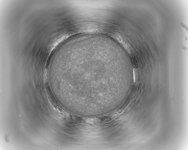 X0000093160579200710241022