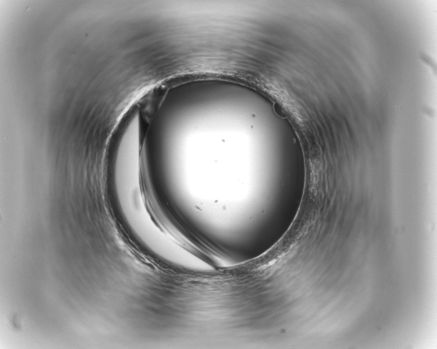 X0000093160580200710241022