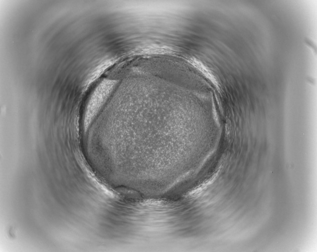 X0000093160581200710241022