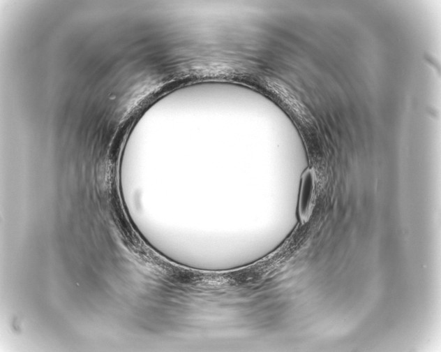 X0000093160583200710241022