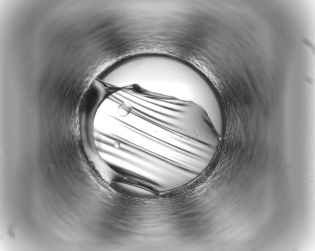 X0000093160584200710241022