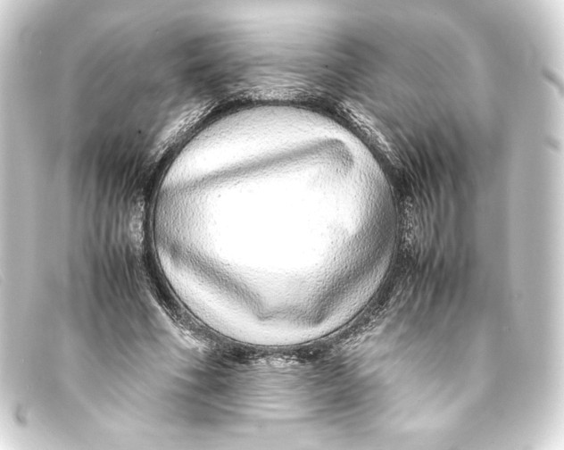 X0000093160586200710241022