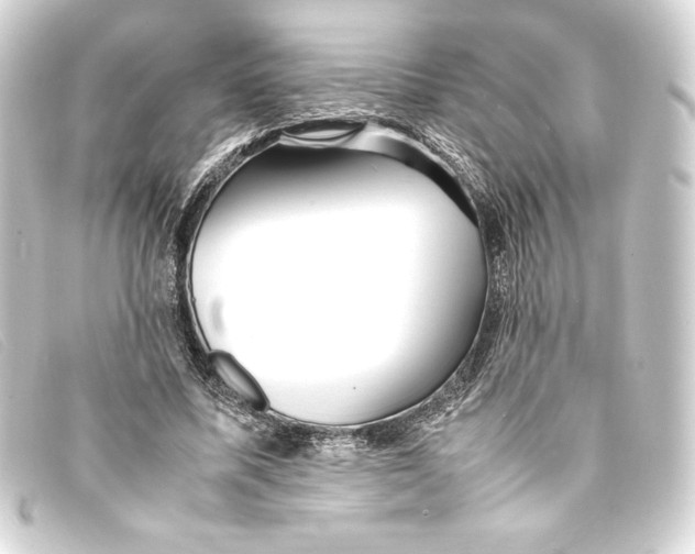 X0000093160587200710241022