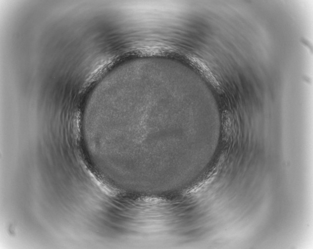 X0000093160590200710241022