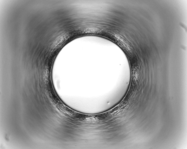 X0000093160591200710241022