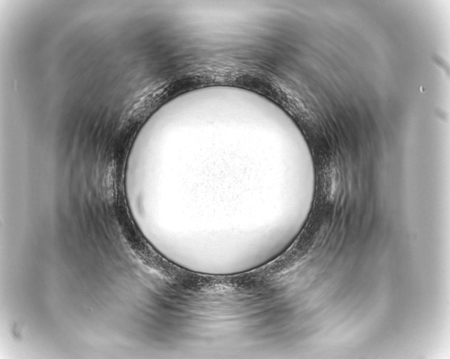 X0000093160594200710241021