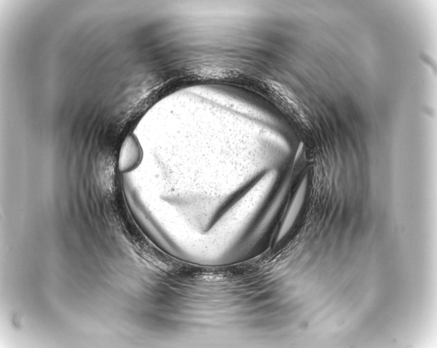 X0000093160596200710241021