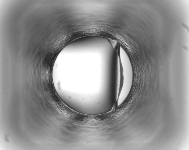 X0000093160597200710241021
