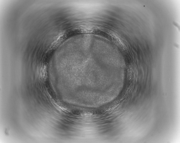 X0000093160598200710241021