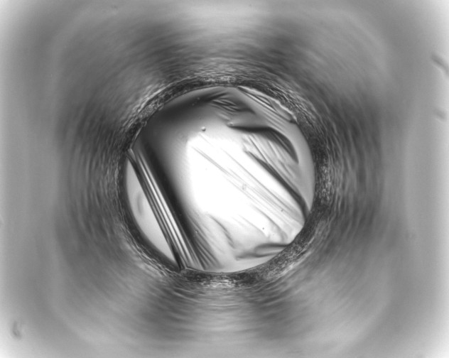 X0000093160600200710241021