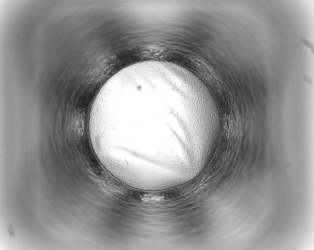 X0000093160602200710241021