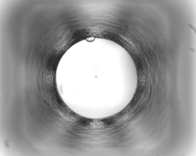 X0000093160603200710241021