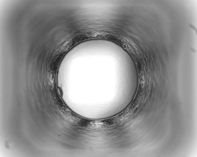 X0000093160607200710241021