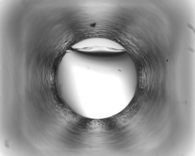 X0000093160608200710241021