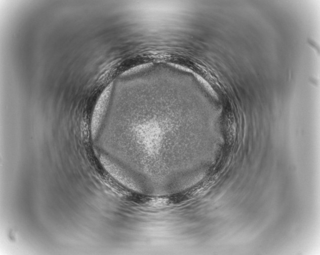 X0000093160609200710241021