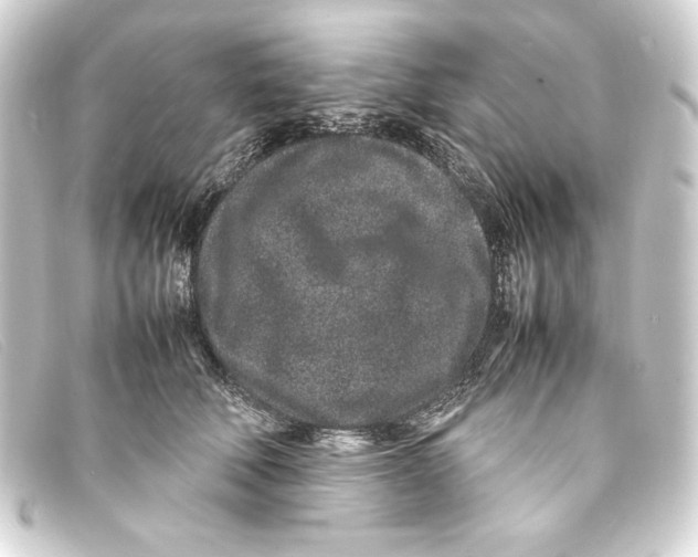 X0000093160610200710241021