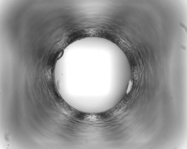 X0000093160611200710241021