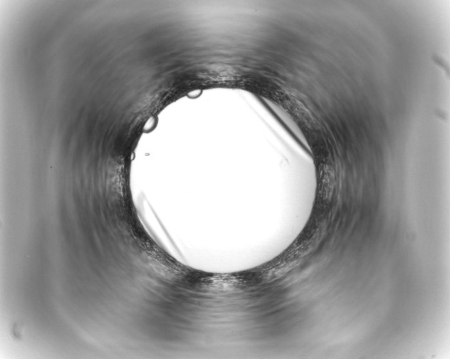 X0000093160612200710241021