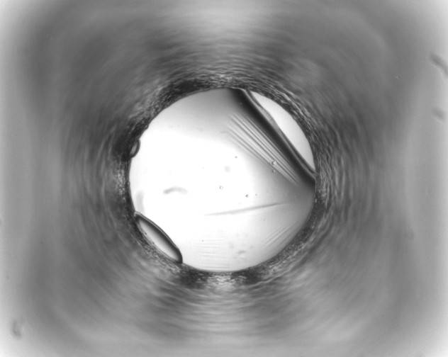 X0000093160613200710241021