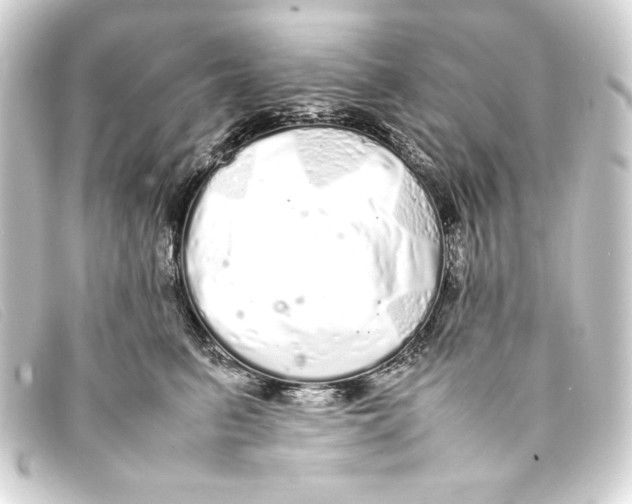 X0000093160615200710241021