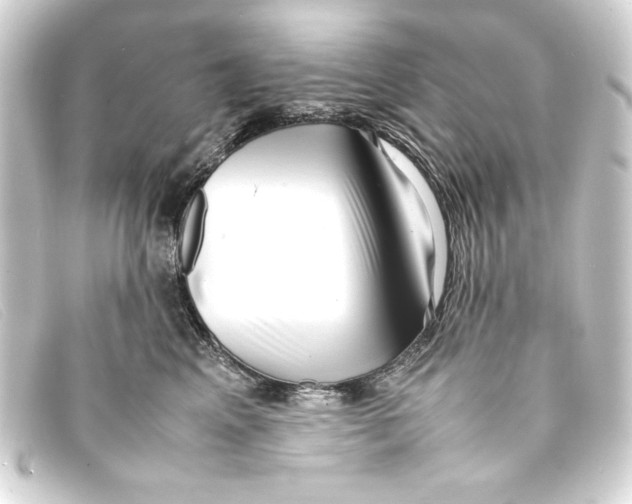 X0000093160617200710241021