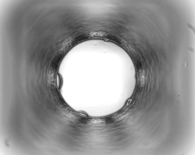 X0000093160619200710241021