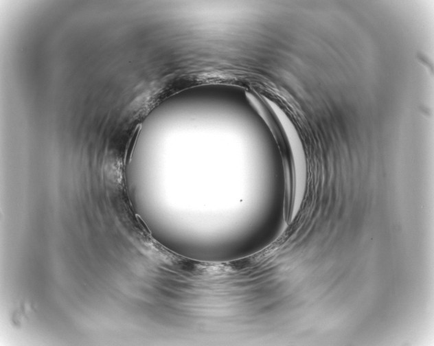 X0000093160621200710241021