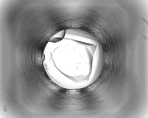 X0000093160622200710241021