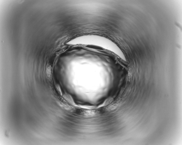 X0000093160623200710241021