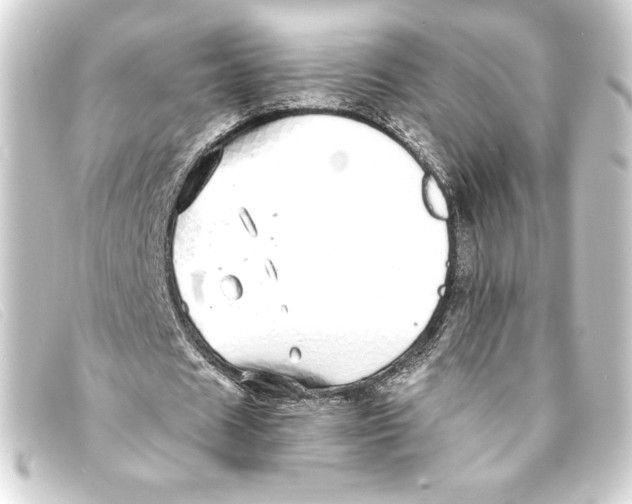 X0000093160625200710241020