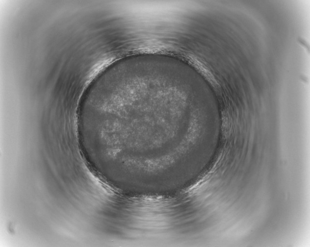 X0000093160626200710241020