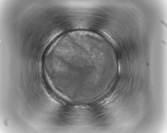X0000093160627200710241020