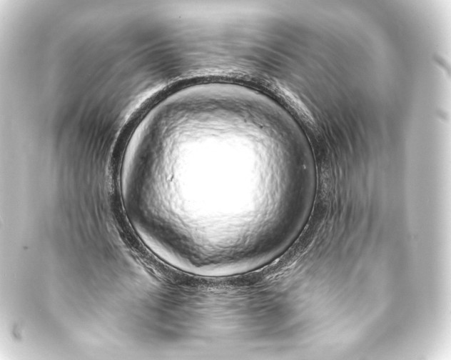 X0000093160628200710241020
